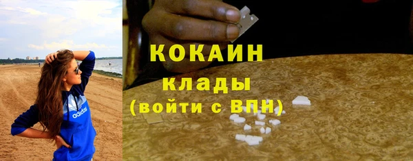 mdpv Богородск