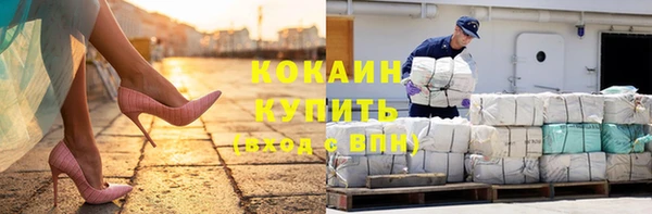 mdpv Богородск