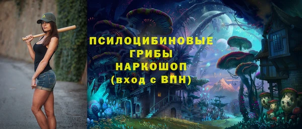 мяу мяу мука Беломорск