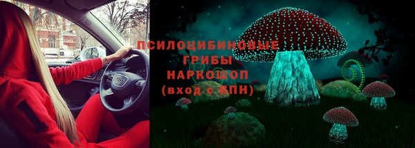 хмурый Богданович